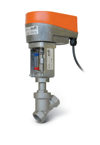Oransal